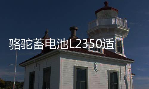 骆驼蓄电池L2350适用于东风景逸长安悦翔睿骋逸动睿成汽车电瓶