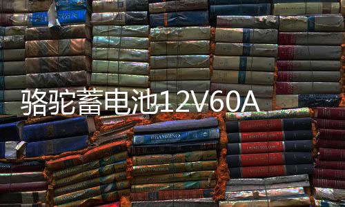 骆驼蓄电池12V60AH适配比亚迪长城丰田金杯奇瑞1DF汽车电瓶 55D26