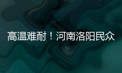 高温难耐!河南洛阳民众水中搓麻开启花式避暑