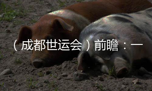 (成都世运会)前瞻:一场体育与科技“双向奔赴”的盛会