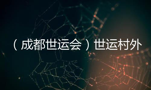 (成都世运会)世运村外的市集:让世界感知“四川心意”