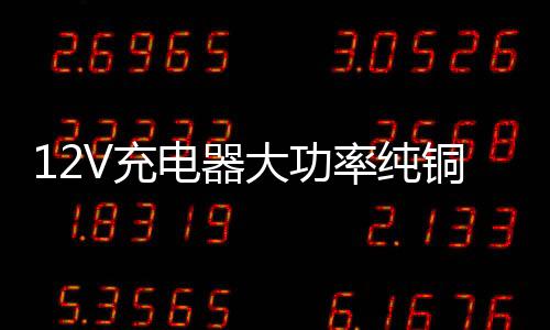 12V充电器大功率纯铜24v老式100A汽车货车家用小轿车电瓶冲充电机